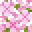 Вишня