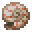 nautilus