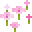 pink_petals