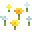 wildflowers