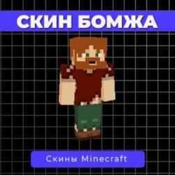 Скин Бомжа