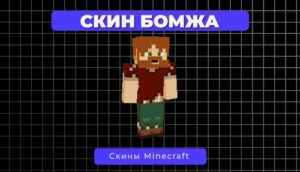 Скин Бомжа