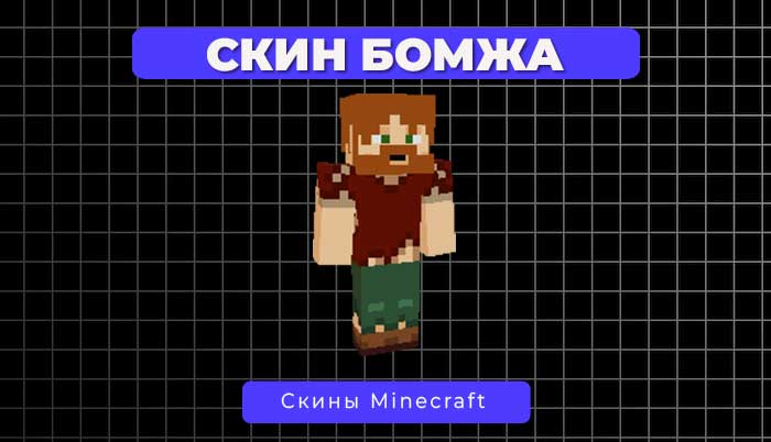 Скин Бомжа