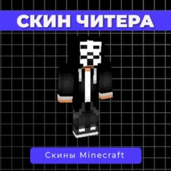 Скин Читера