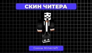 Скин Читера