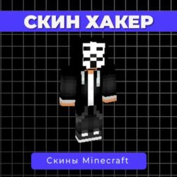 Скин Хакер
