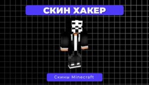Скин Хакер