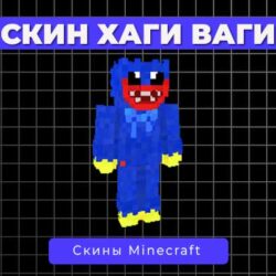 Скин Хаги Ваги