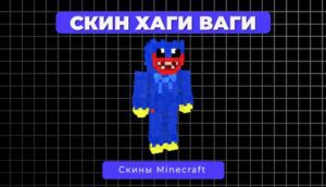 Скин Хаги Ваги