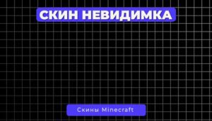 Скин Невидимка
