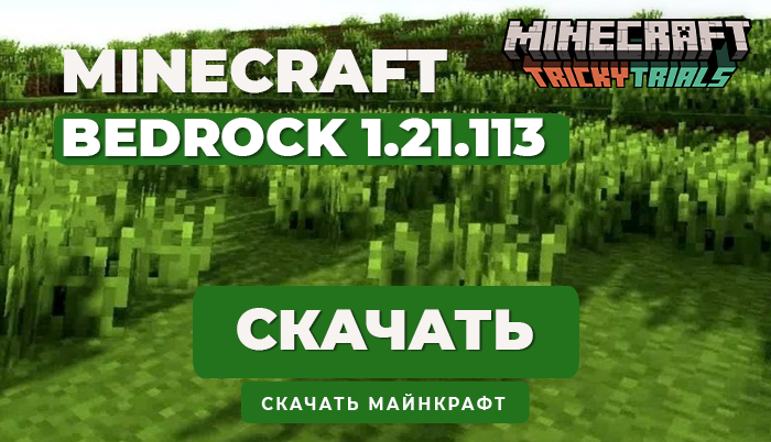 Minecraft PE 1.21.113 [Полная версия]
