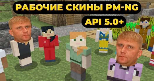 Плагин для отображения persona скинов для PocketMine-MP/NetherGames API 5.0.0+