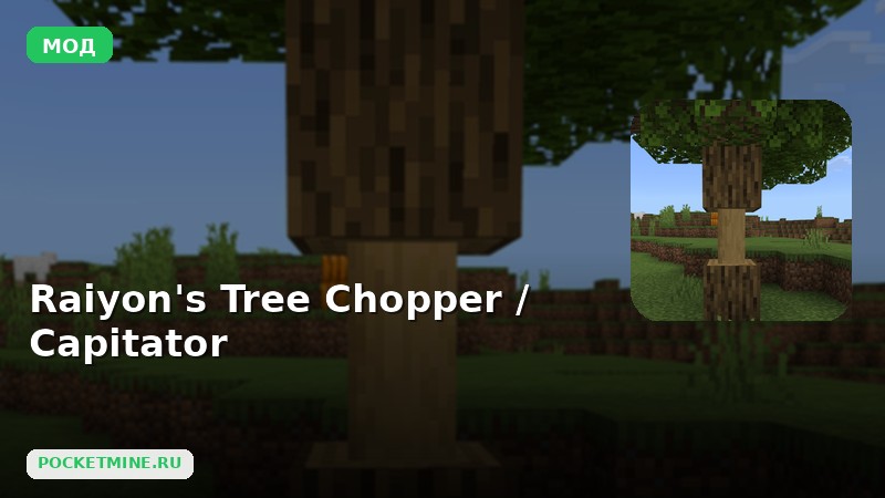Мод Raiyon’s Tree Chopper / Capitator Minecraft BE