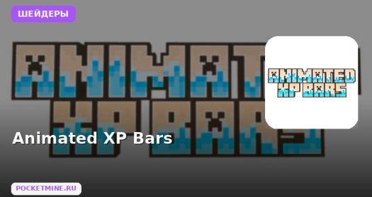 Шейдеры Animated  XP Bars Minecraft BE