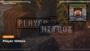 Текстуры Player Hitbox Minecraft BE