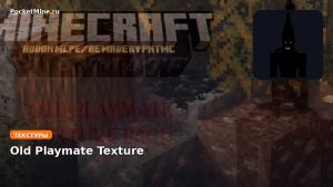Текстуры Old Playmate Texture Minecraft BE