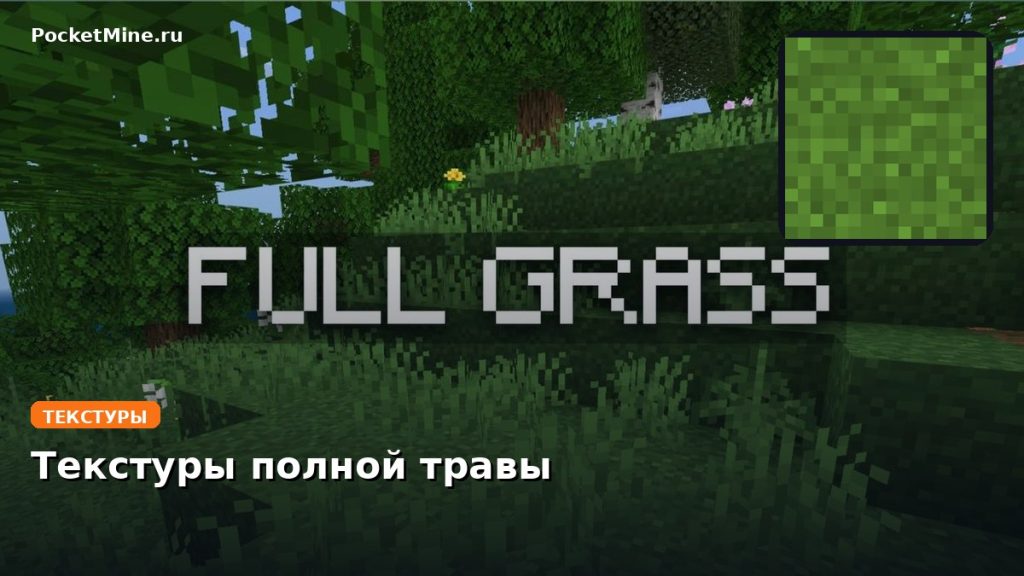 Текстуры полной травы Minecraft BE